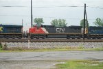 CN #2032